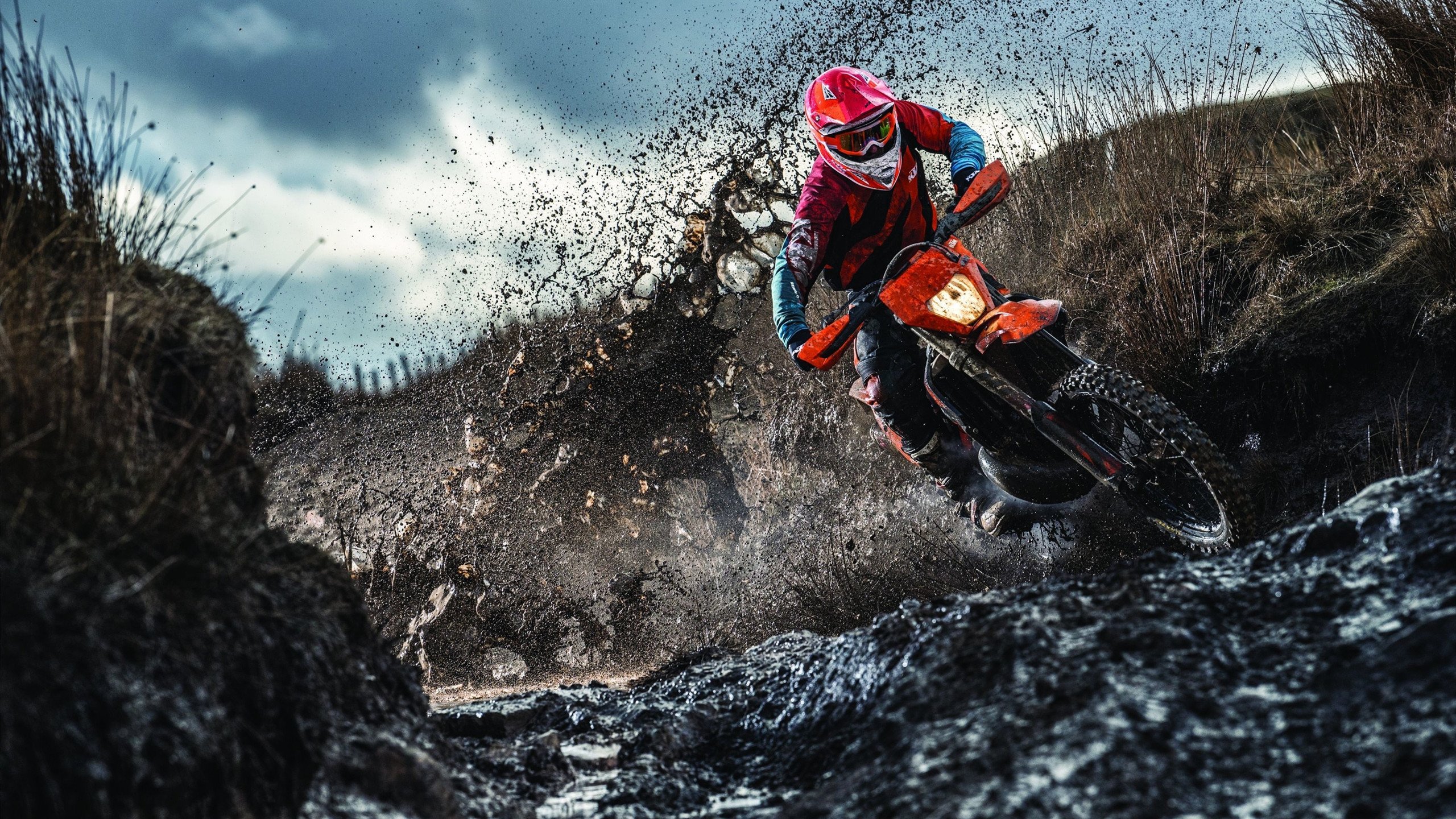 EDG战队核心选手复出时间确认，edg核心队员